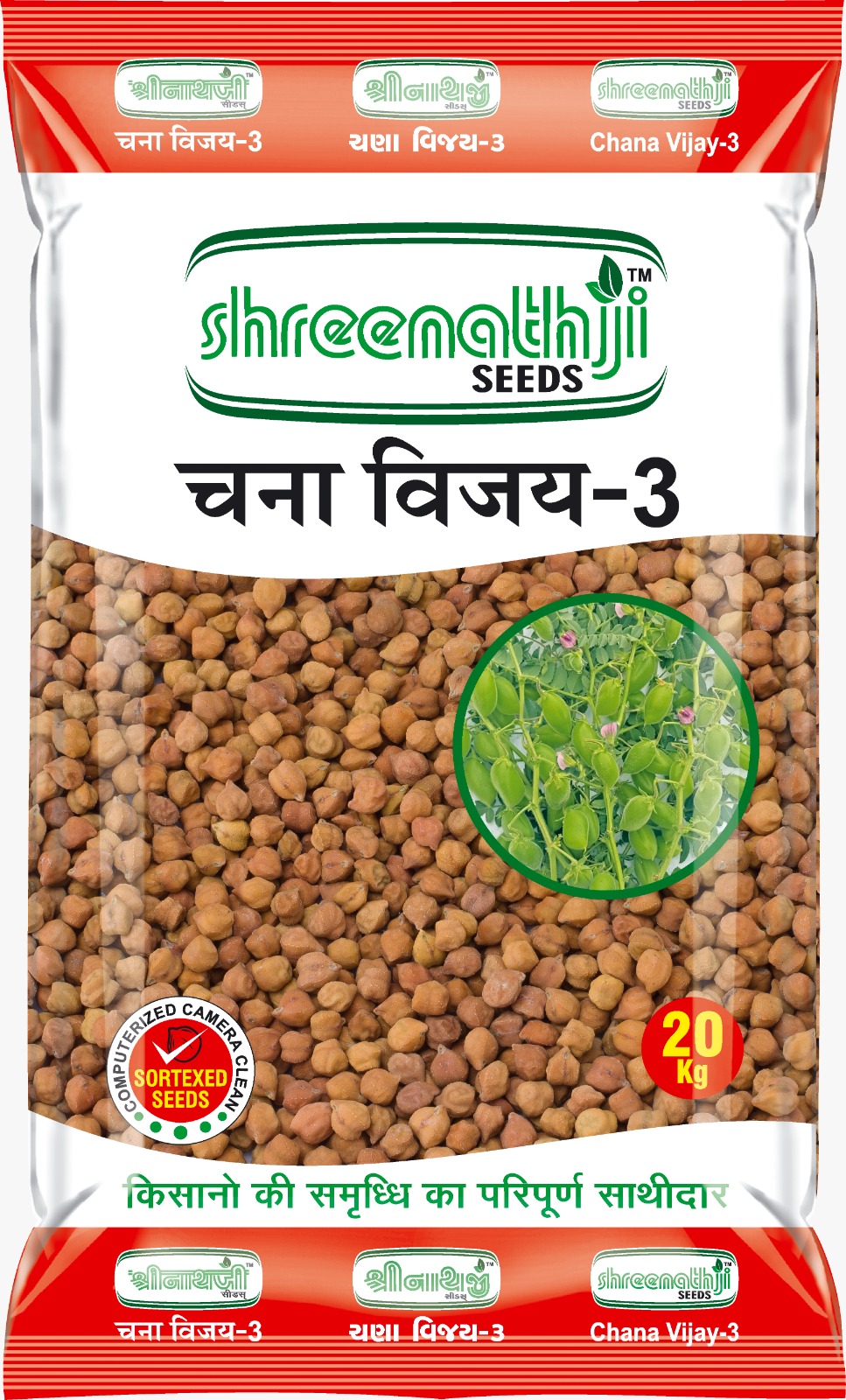 ચણા વિજય-3